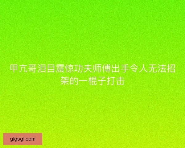 甲亢哥泪目震惊功夫师傅出手令人无法招架的一棍子打击